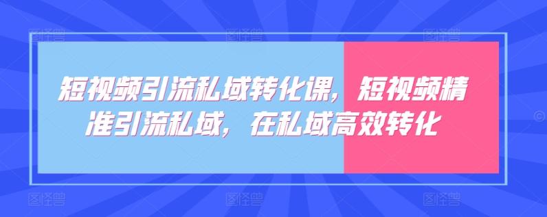 短视频引流私域转化课，短视频精准引流私域，在私域高效转化-179创客网