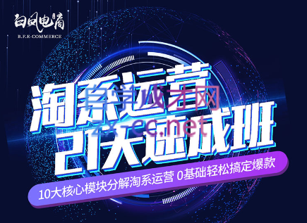 淘系运营21天速成班(更新7月)-179创客网