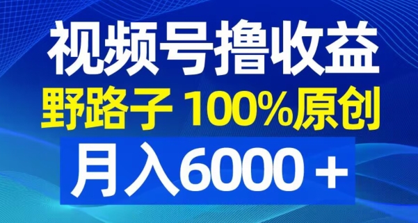 视频号野路子撸收益，100%原创，条条爆款，月入6000＋【揭秘】-179创客网
