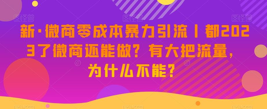 新·微商零成本暴力引流丨都2023了微商还能做？有大把流量，为什么不能？-179创客网