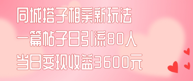 同城搭子相亲新玩法一篇帖子引流80人当日变现3600元(项目教程+实操教程)【揭秘】-179创客网
