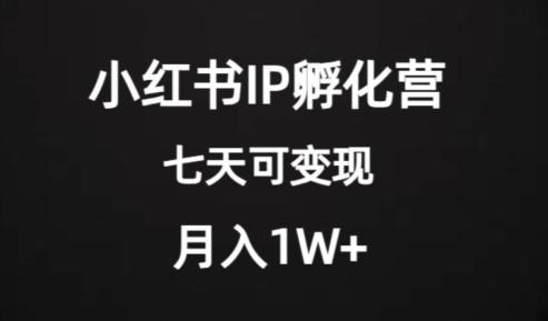 价值2000+的小红书IP孵化营项目，超级大蓝海，七天即可开始变现，稳定月入1W+-179创客网