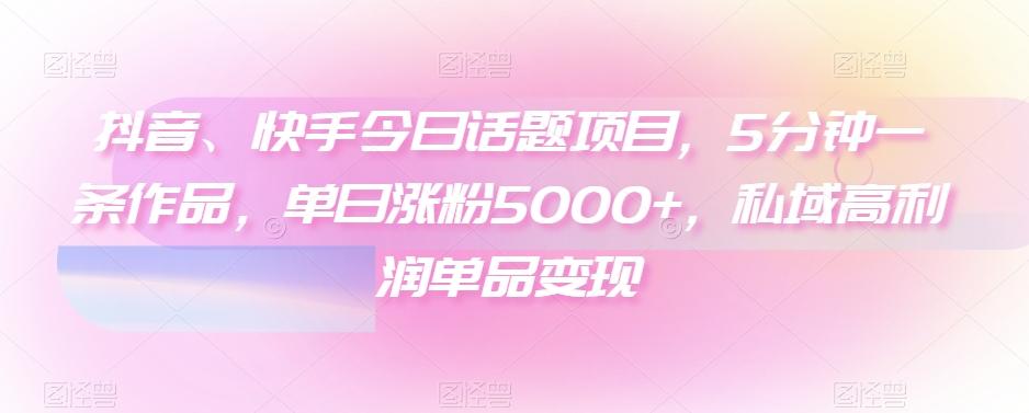 抖音、快手今日话题项目，5分钟一条作品，单日涨粉5000+，私域高利润单品变现-179创客网