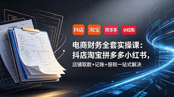 （19001期）电商财务全套实操课：抖店淘宝拼多多小红书，店铺取数+记账+报税一站式解决-179创客网
