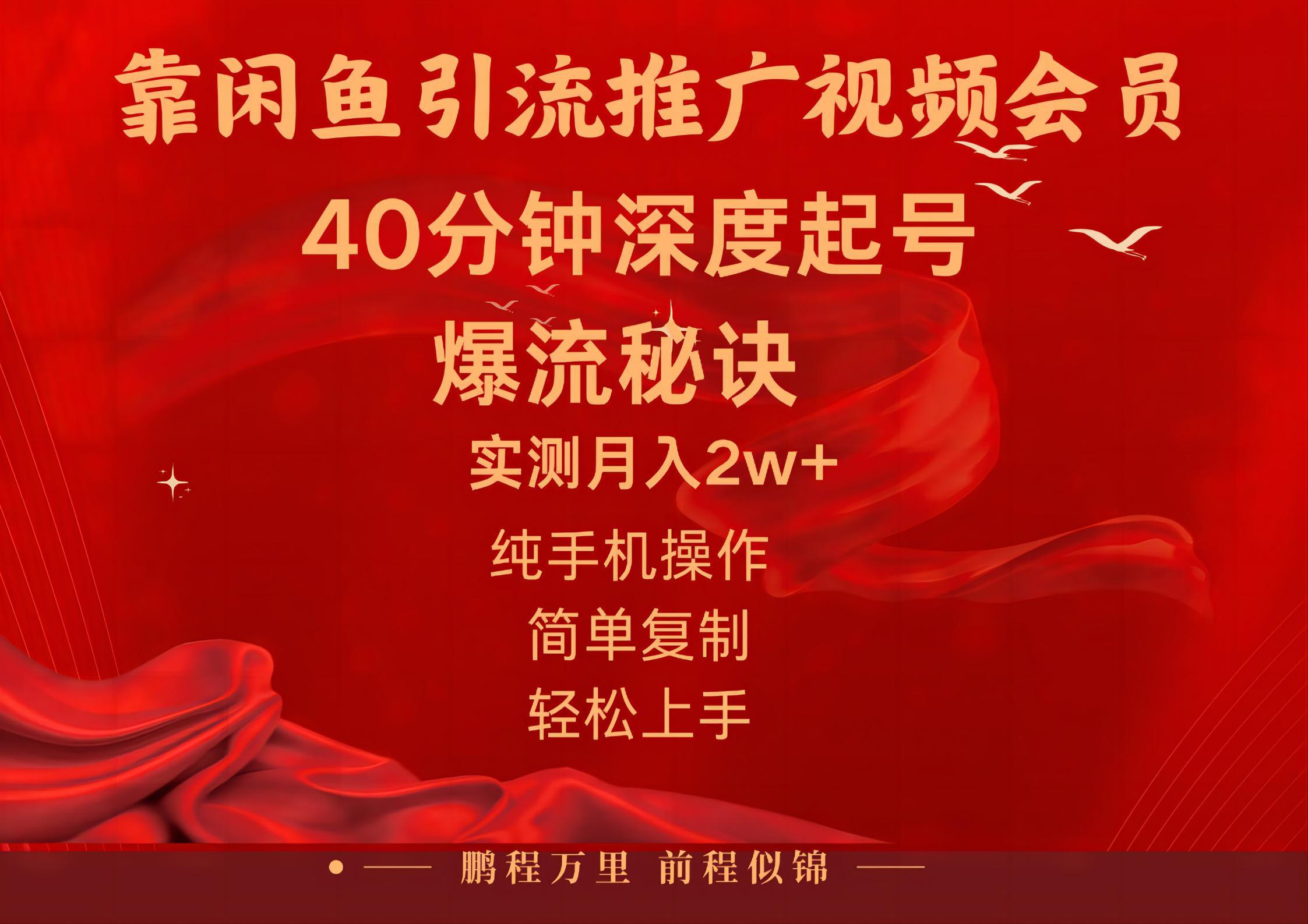 闲鱼暴力引流推广视频会员，能做到日入2W+，操作简单-179创客网