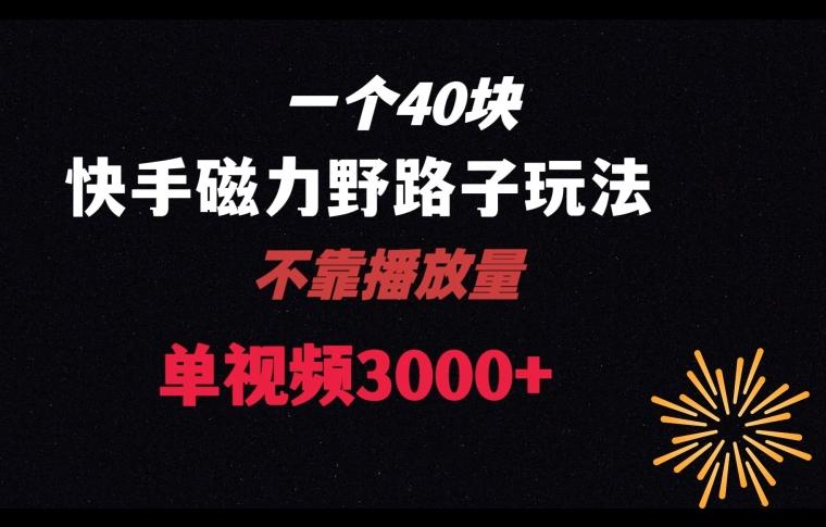 一个40块，快手联合美团磁力新玩法，无视机制野路子玩法，单视频收益4位数【揭秘】-179创客网