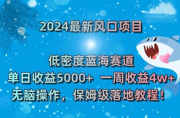 2024最新风口项目，低密度蓝海赛道，单日收益5000+，一周收益4w+！【揭秘】-179创客网