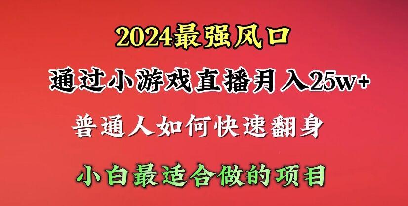 (10020期)2024年最强风口，通过小游戏直播月入25w+单日收益5000+小白最适合做的项目-179创客网