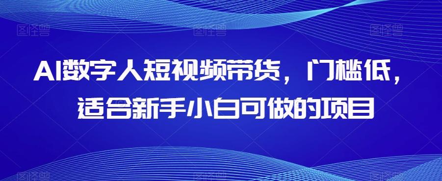 AI数字人短视频带货，门槛低，适合新手小白可做的项目-179创客网