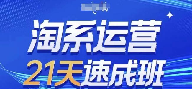 淘系运营21天速成班(更新24年7月)，0基础轻松搞定淘系运营，不做假把式-179创客网