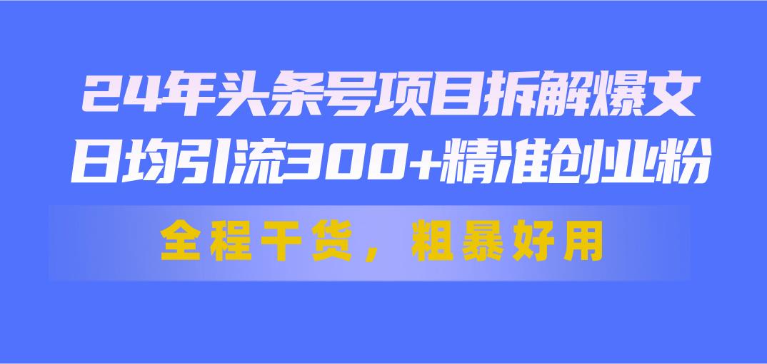 24年头条号项目拆解爆文，日均引流300+精准创业粉，全程干货，粗暴好用-179创客网
