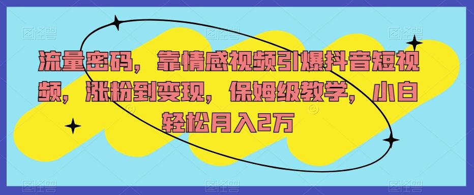 流量密码，靠情感视频引爆抖音短视频，涨粉到变现，保姆级教学，小白轻松月入2万【揭秘】-179创客网