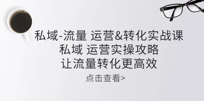 私域-流量 运营&转化实操课：私域 运营实操攻略 让流量转化更高效-179创客网