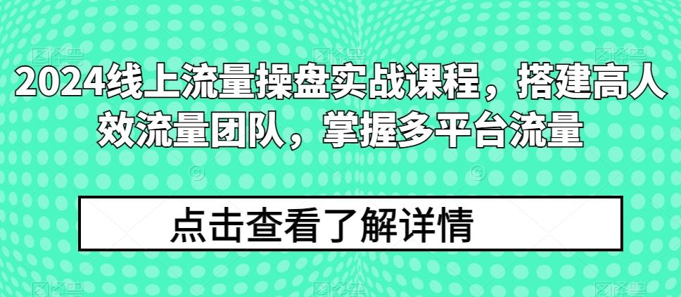 2024线上流量操盘实战课程，搭建高人效流量团队，掌握多平台流量-179创客网