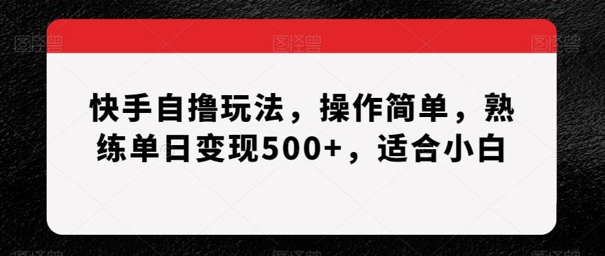 快手自撸玩法，操作简单，熟练单日变现500+，适合小白【揭秘】-179创客网