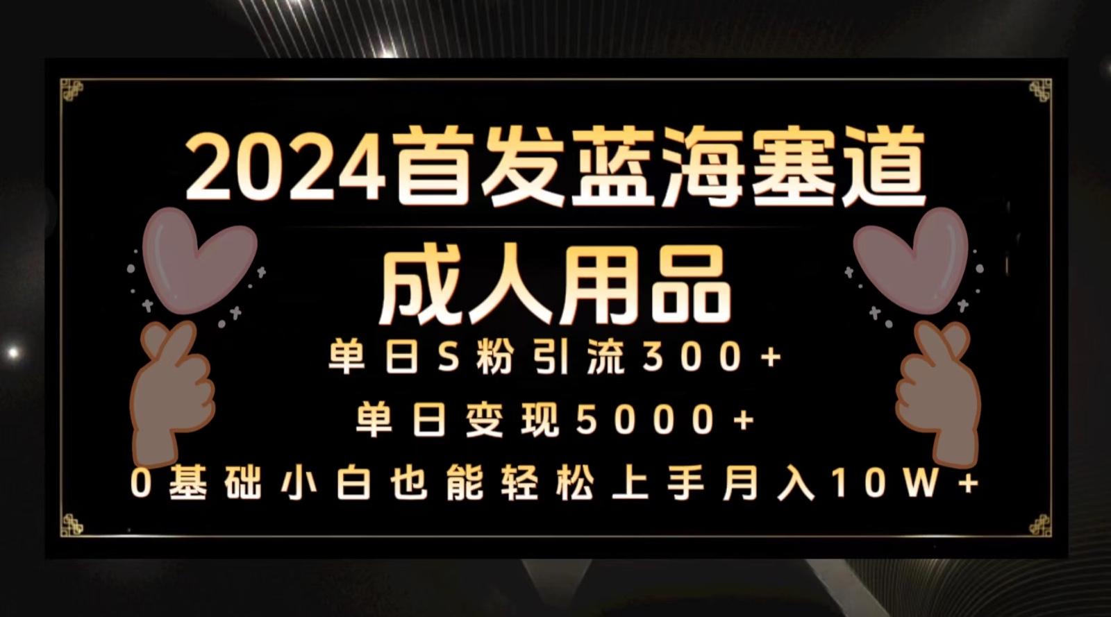 2024首发蓝海塞道成人用品，月入10W+保姆教程-179创客网