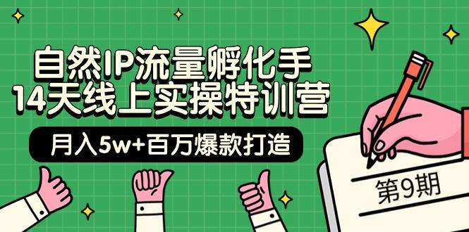 (9881期)自然IP流量孵化手 14天线上实操特训营【第9期】月入5w+百万爆款打造 (74节)-179创客网
