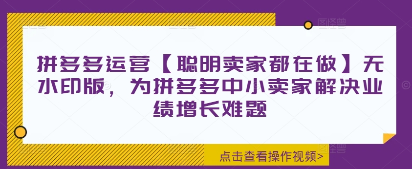 拼多多运营【聪明卖家都在做】无水印版，为拼多多中小卖家解决业绩增长难题-179创客网