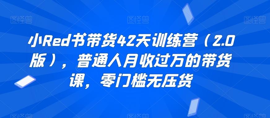 小Red书带货42天训练营(2.0版)，普通人月收过万的带货课，零门槛无压货-179创客网
