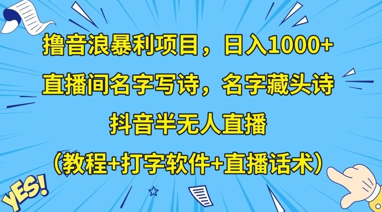 撸音浪暴利项目，日入1000+，直播间名字写诗，名字藏头诗，抖音半无人直播（教程+打字软件+直播话术）【揭秘】-179创客网