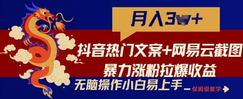 抖音热门文案+网易云截图暴力涨粉拉爆收益玩法，小白无脑操作，简单易上手【揭秘】-179创客网