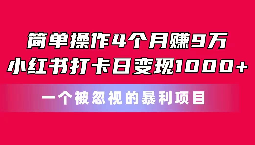 简单操作4个月赚9万！小红书打卡日变现1000+！一个被忽视的暴力项目-179创客网