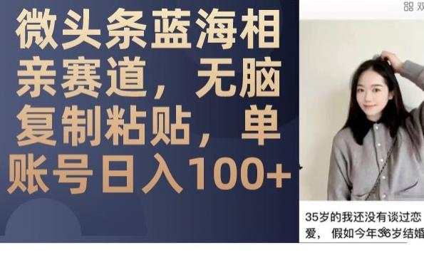 微头条蓝海相亲赛道，无脑复制粘贴，单账号日入100+-179创客网