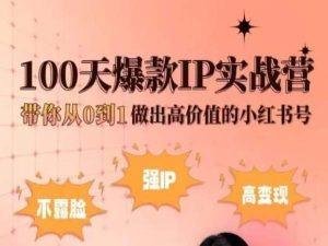 小红书100天爆款IP实战营，带你从0到1做出高价值的小红书号-179创客网