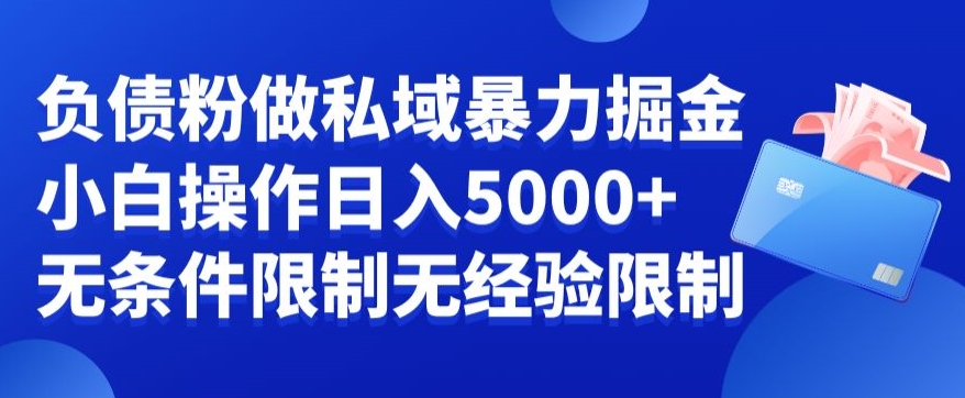 负债粉私域暴力掘金，小白操作入5000，无经验限制，无条件限制【揭秘】-179创客网