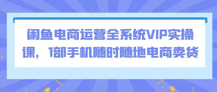 闲鱼电商运营全系统VIP实操课，1部手机随时随地电商卖货-179创客网