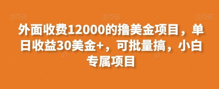 外面收费12000的撸美金项目，单日收益30美金+，可批量搞，小白专属项目-179创客网