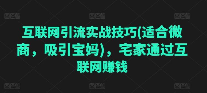 互联网引流实战技巧(适合微商，吸引宝妈)，宅家通过互联网赚钱-179创客网