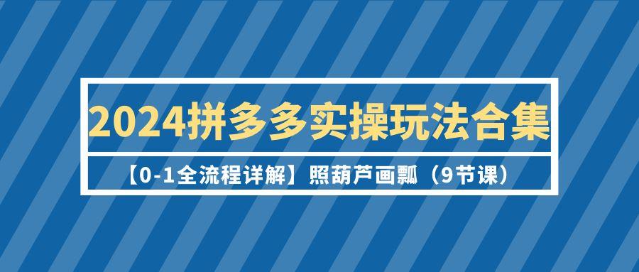 (9559期)2024拼多多实操玩法合集【0-1全流程详解】照葫芦画瓢(9节课)-179创客网