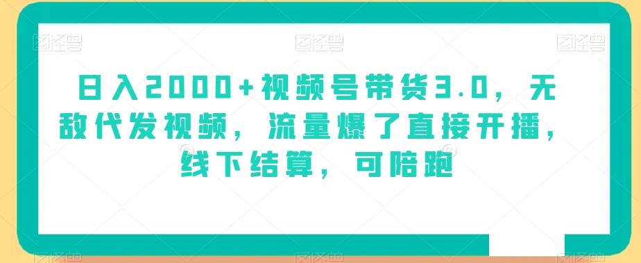 日入2000+视频号带货3.0，无敌代发视频，流量爆了直接开播，线下结算，可陪跑-179创客网