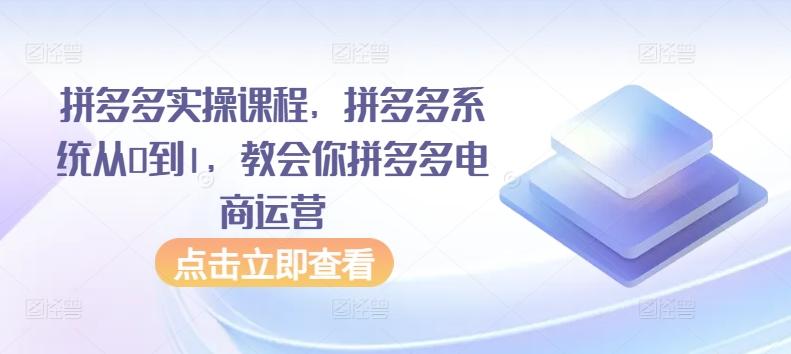 拼多多实操课程，拼多多系统从0到1，教会你拼多多电商运营-179创客网