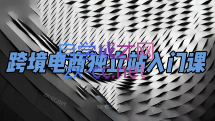 团长·跨境电商独立站入门课(2小时精华)-179创客网