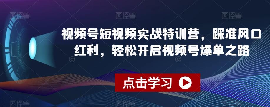 视频号短视频实战特训营，踩准风口红利，轻松开启视频号爆单之路-179创客网