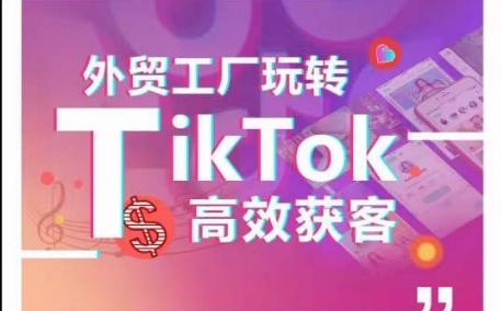 外贸工厂玩转TikTok高效获客，多种引流方式与账号定位技巧，拆解爆款短视频打造成功案例-179创客网