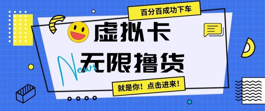 虚拟卡无限撸货，百分百成功下车【仅揭秘】-179创客网
