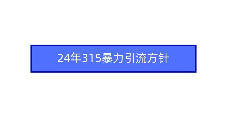 (9398期)2024年315暴力引流方针-179创客网