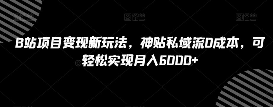 B站项目变现新玩法，神贴私域流0成本，可轻松实现月入6000+【揭秘】-179创客网