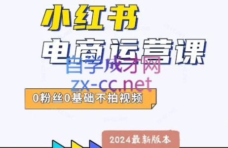 达哥·小红书电商运营(2024版)-179创客网