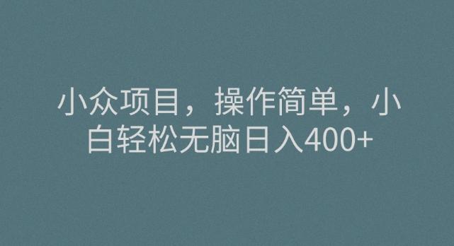 小众项目，操作简单，小白轻松无脑日入400+-179创客网