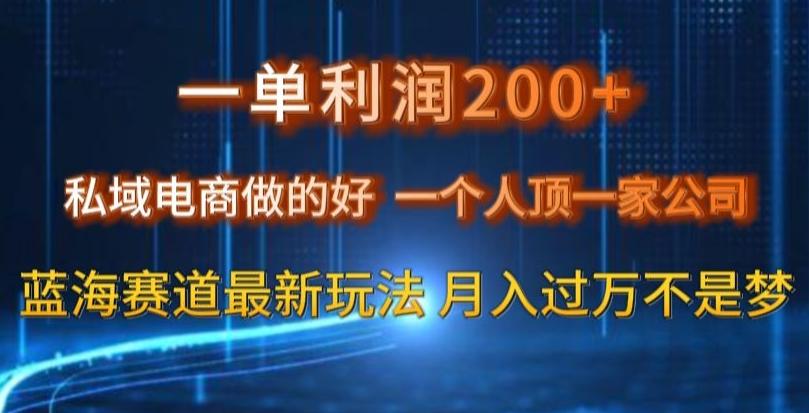 一单利润200私域电商做的好，一个人顶一家公司蓝海赛道最新玩法【揭秘】-179创客网