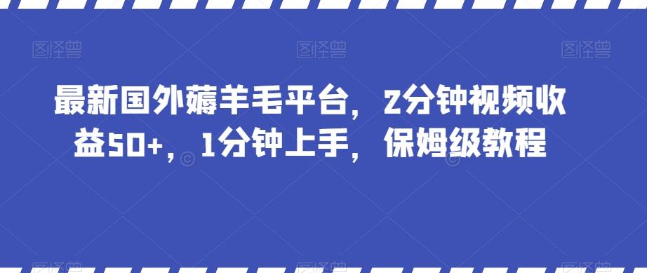 最新国外薅羊毛平台，2分钟视频收益50+，1分钟上手，保姆级教程【揭秘】-179创客网