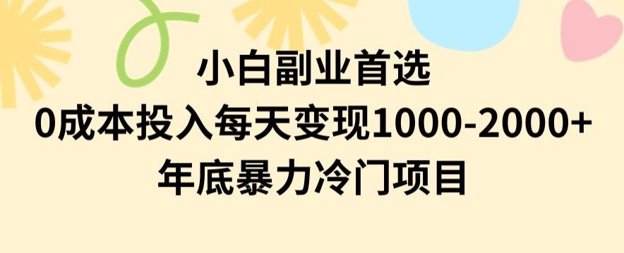 小白副业首选，0成本投入，每天变现1000-2000年底暴力冷门项目【揭秘】-179创客网