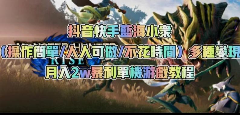 抖音快手蓝海小众（操作简单人人可做不花时间）多种变现月入2w＋暴利单机游戏教程-179创客网