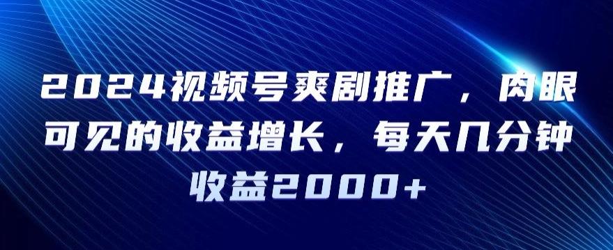2024视频号爽剧推广，肉眼可见的收益增长，每天几分钟收益2000+【揭秘】-179创客网