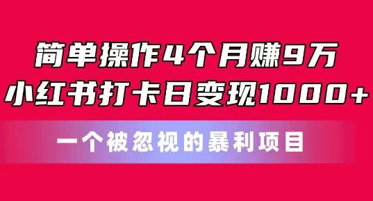 简单操作4个月赚9w，小红书打卡日变现1k，一个被忽视的暴力项目【揭秘】-179创客网