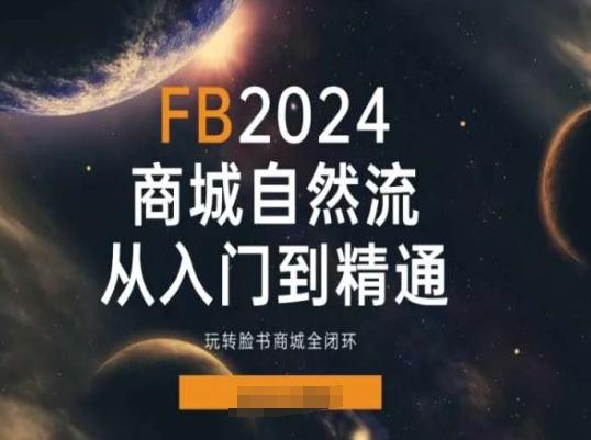 2024Faceboo商城自然流(从入门到精通)，玩转脸书商城全闭环-179创客网